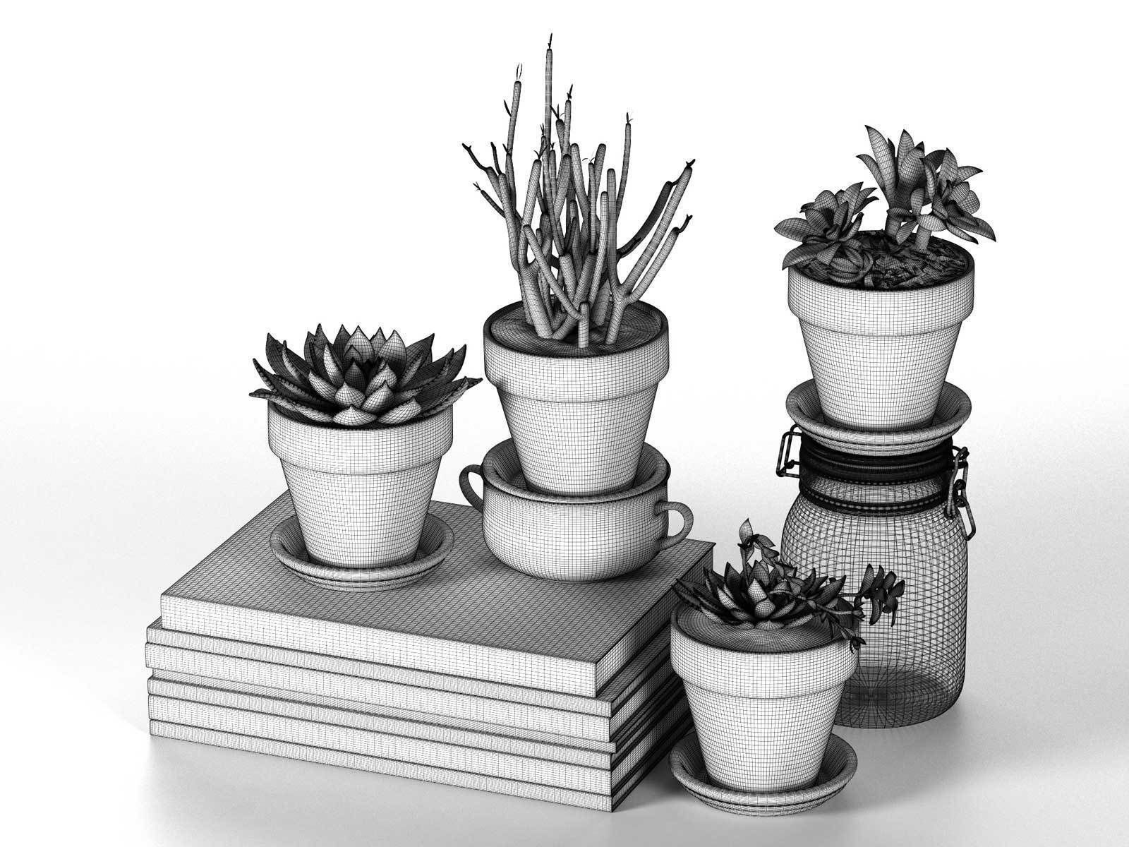 Pots with Plants Stack of Books and Bottle 3D model_1