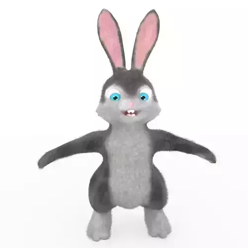 Animated Cartoon Rabbit