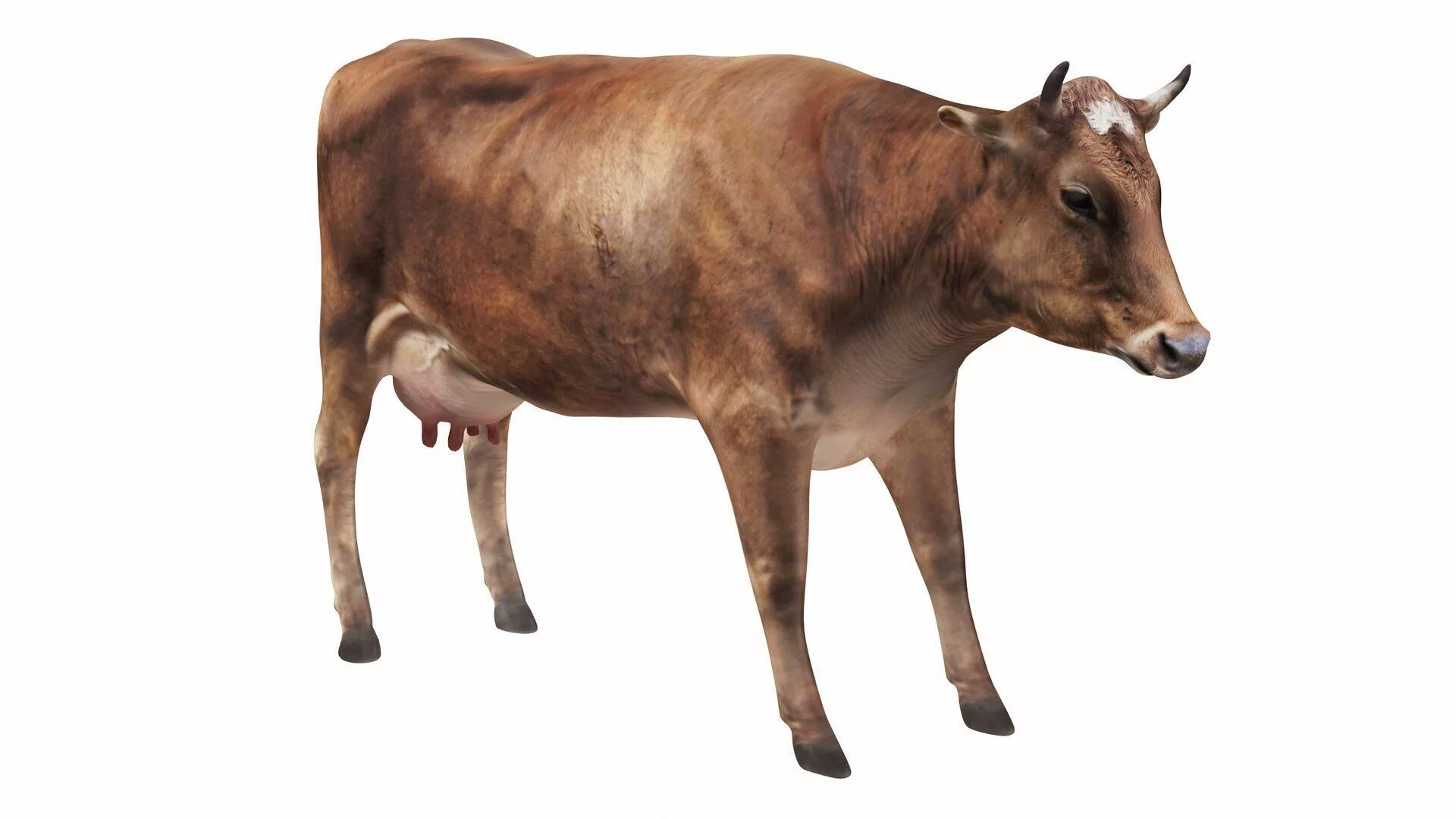 Dairy Cow 1 Low-poly 3D model