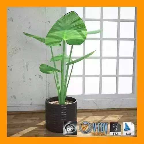 Interior Plant 04