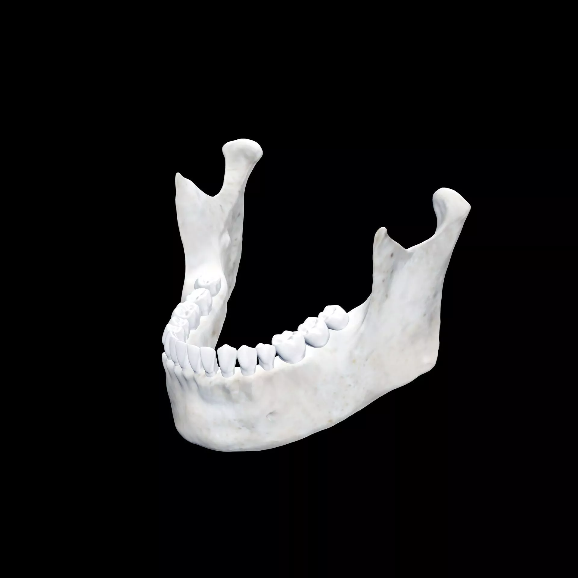 JAW MOUTH TEETH SKULL SKELETON BONES HUMMAN 3D print model