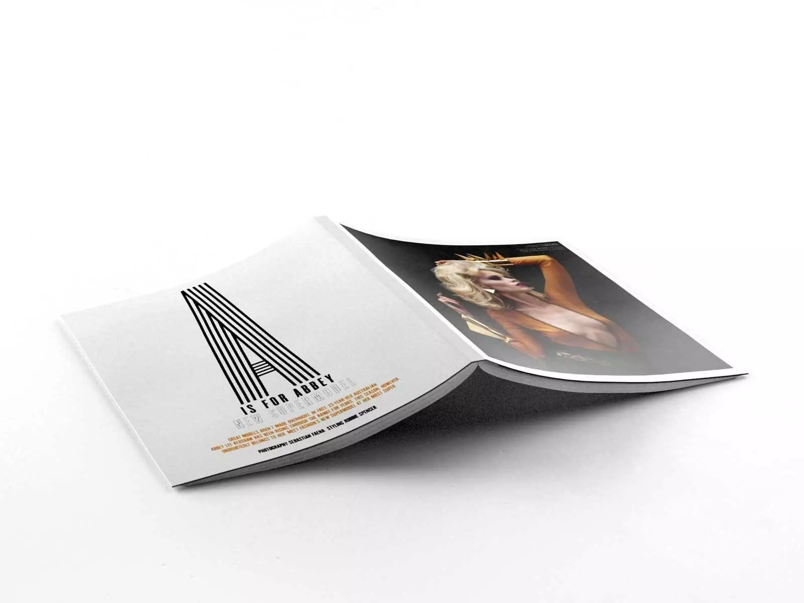 Magazine indesign brochure template 3D model_0