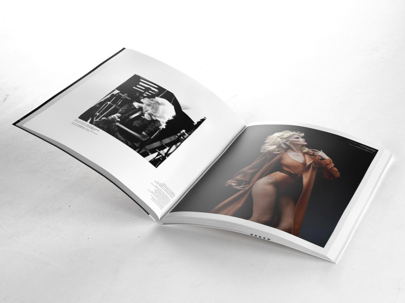 Magazine indesign brochure template 3D model_2