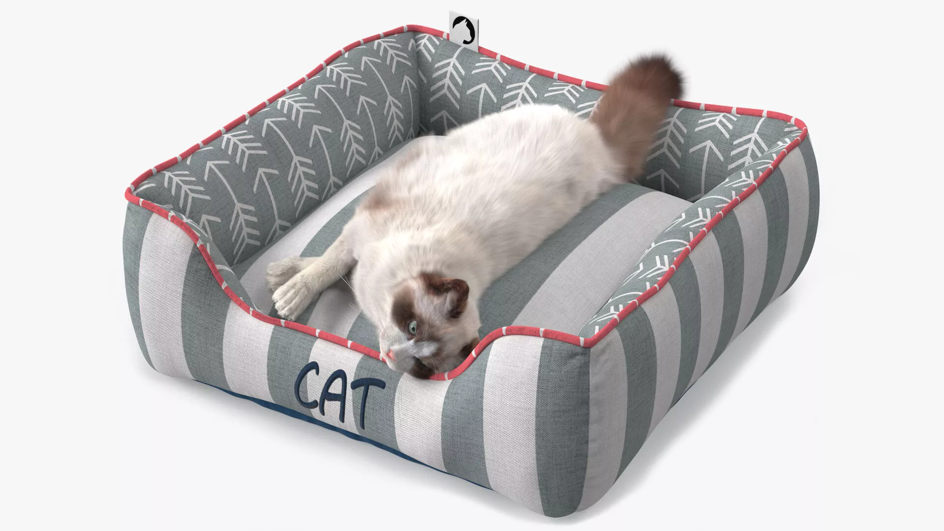 Domestic Cat Napping in Soft Cushion Fur 3D model