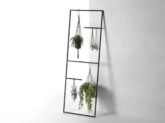 Leaning Display Ladder with Hanging Plants
