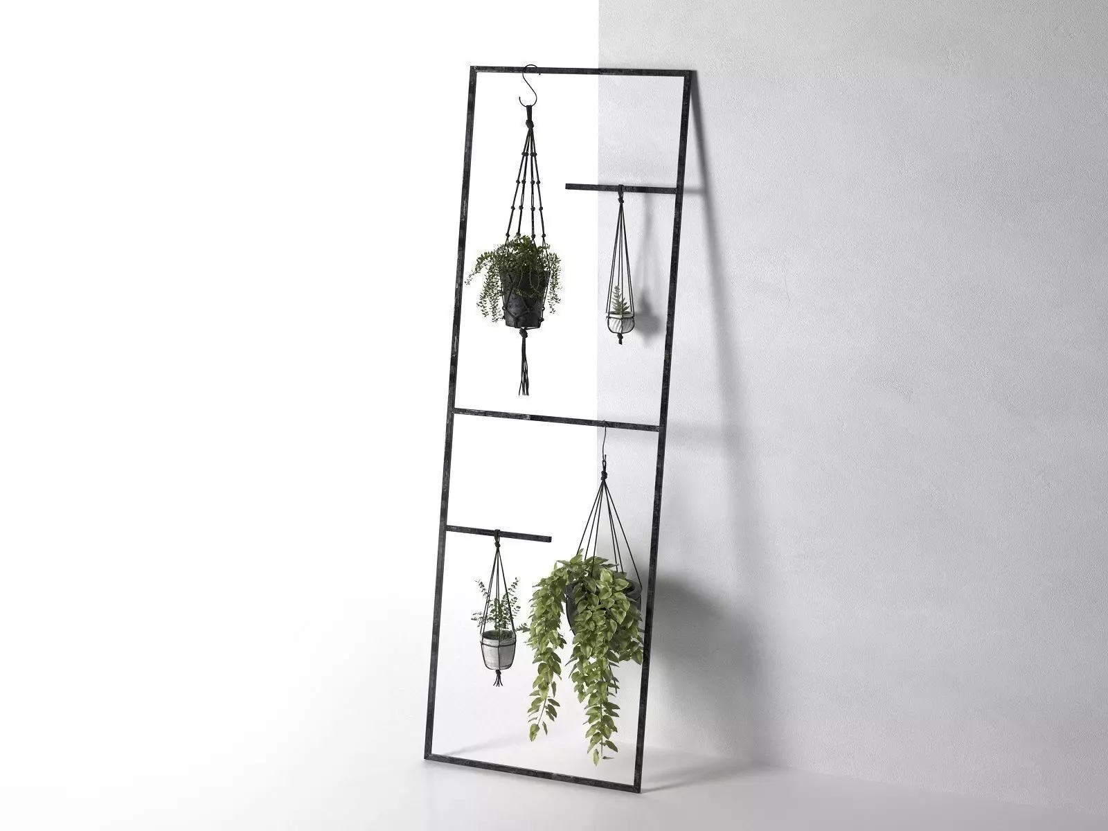 Leaning Display Ladder with Hanging Plants 3D model_0