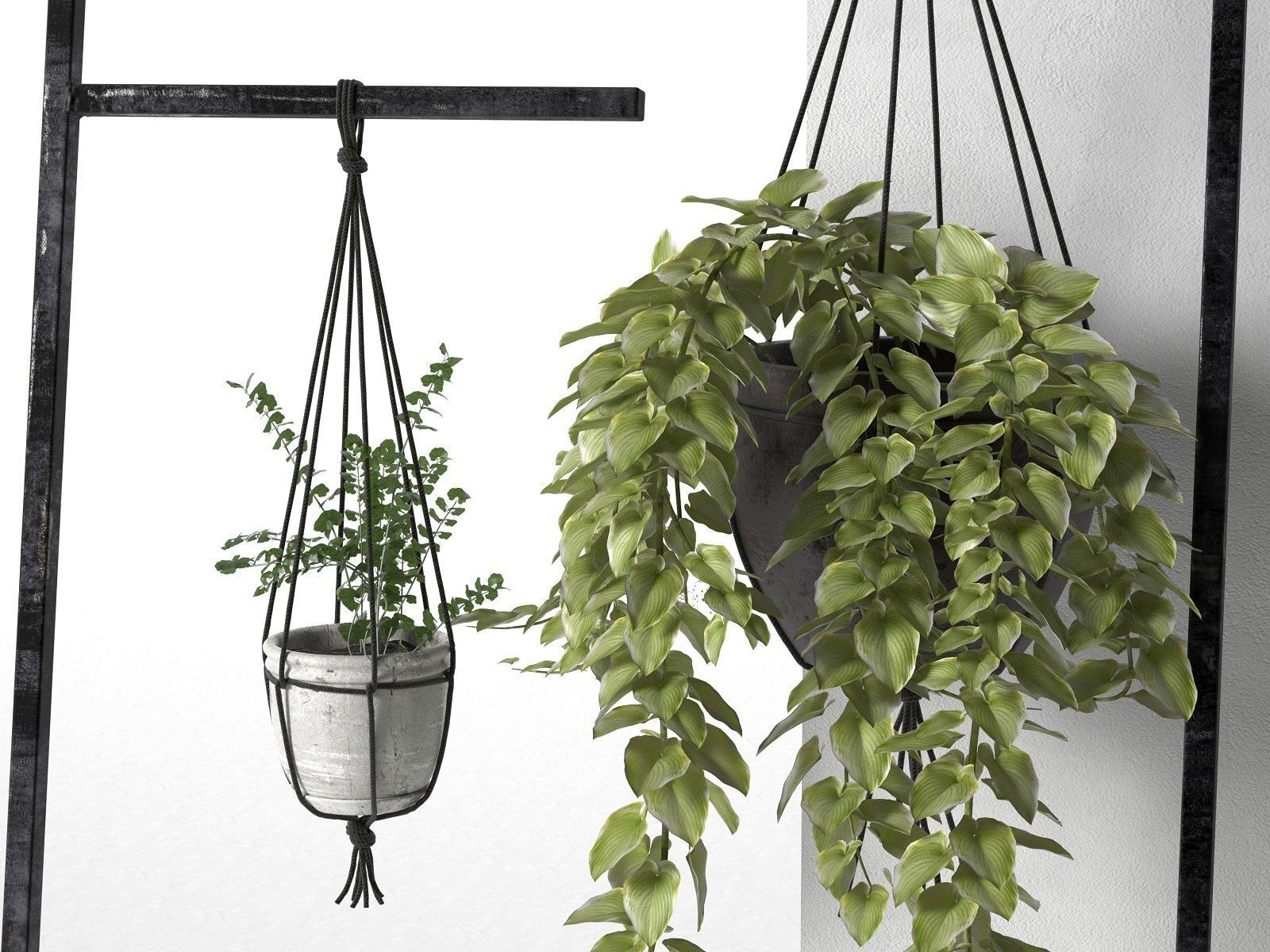 Leaning Display Ladder with Hanging Plants 3D model_1