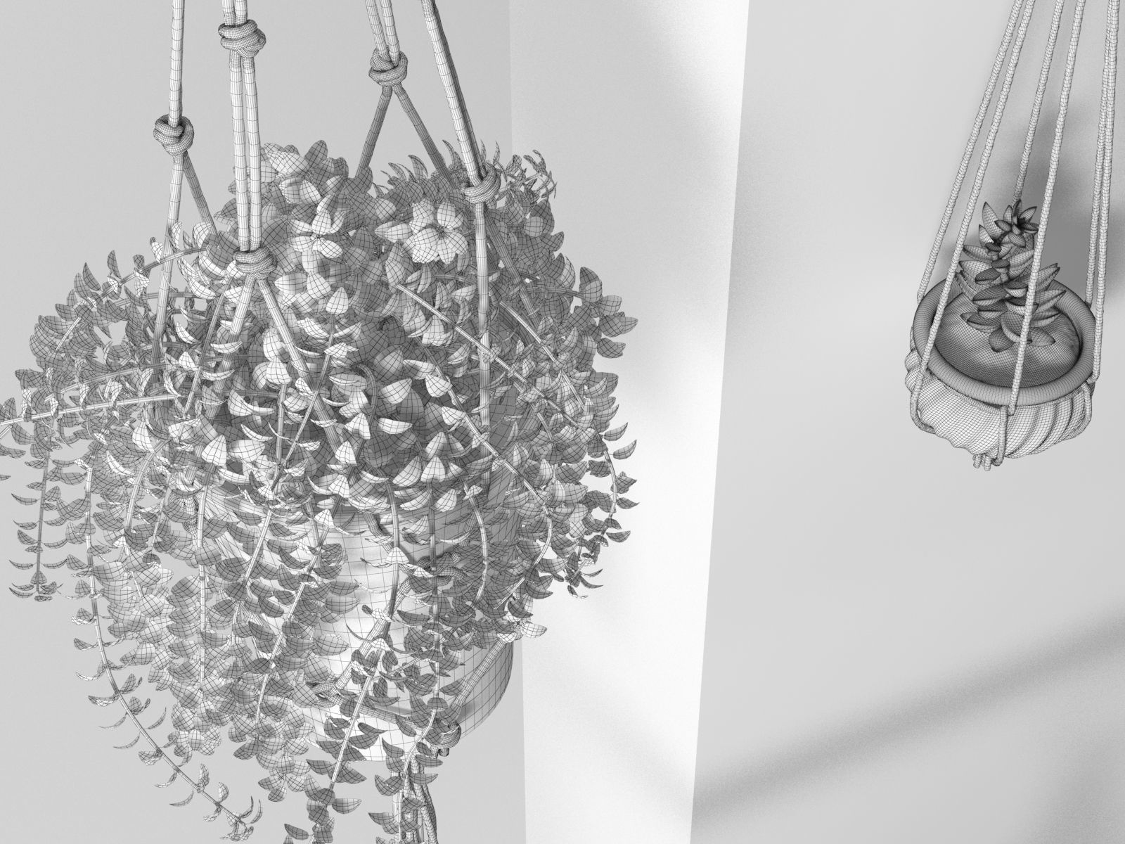 Leaning Display Ladder with Hanging Plants 3D model_2