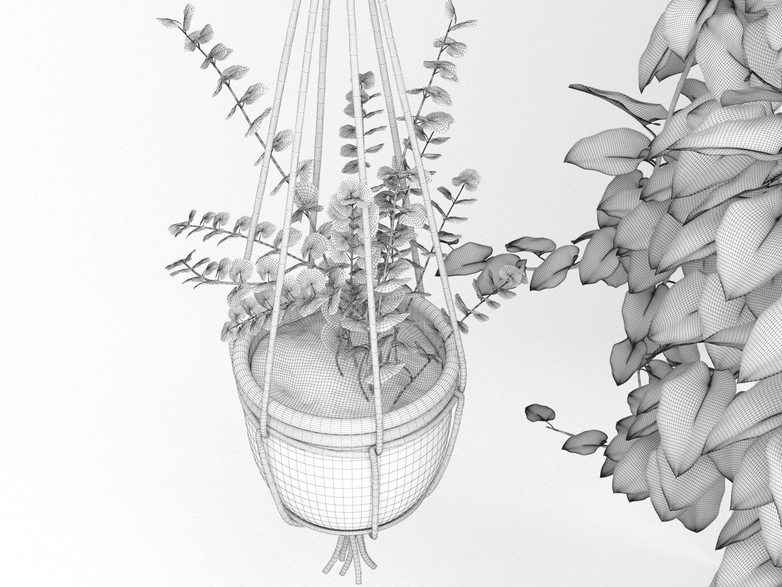 Leaning Display Ladder with Hanging Plants 3D model_3