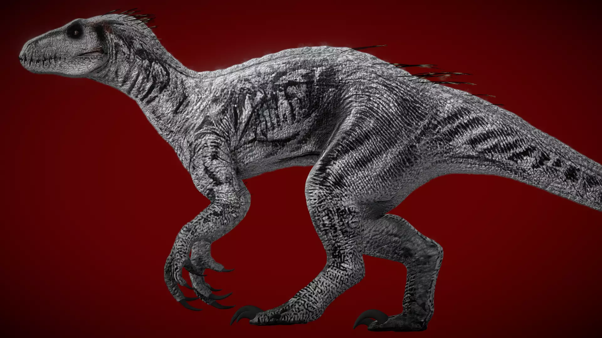 Animated Indoraptor Sister White Low-poly 3D model