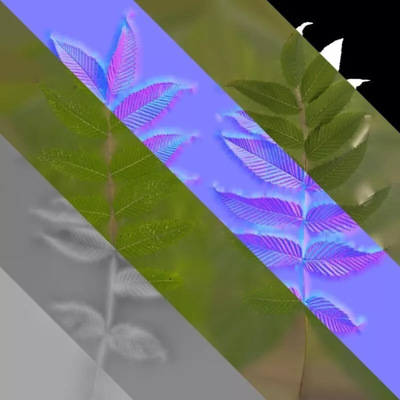 Anydrafts Sorbaria arborea Leaf 03 Texture