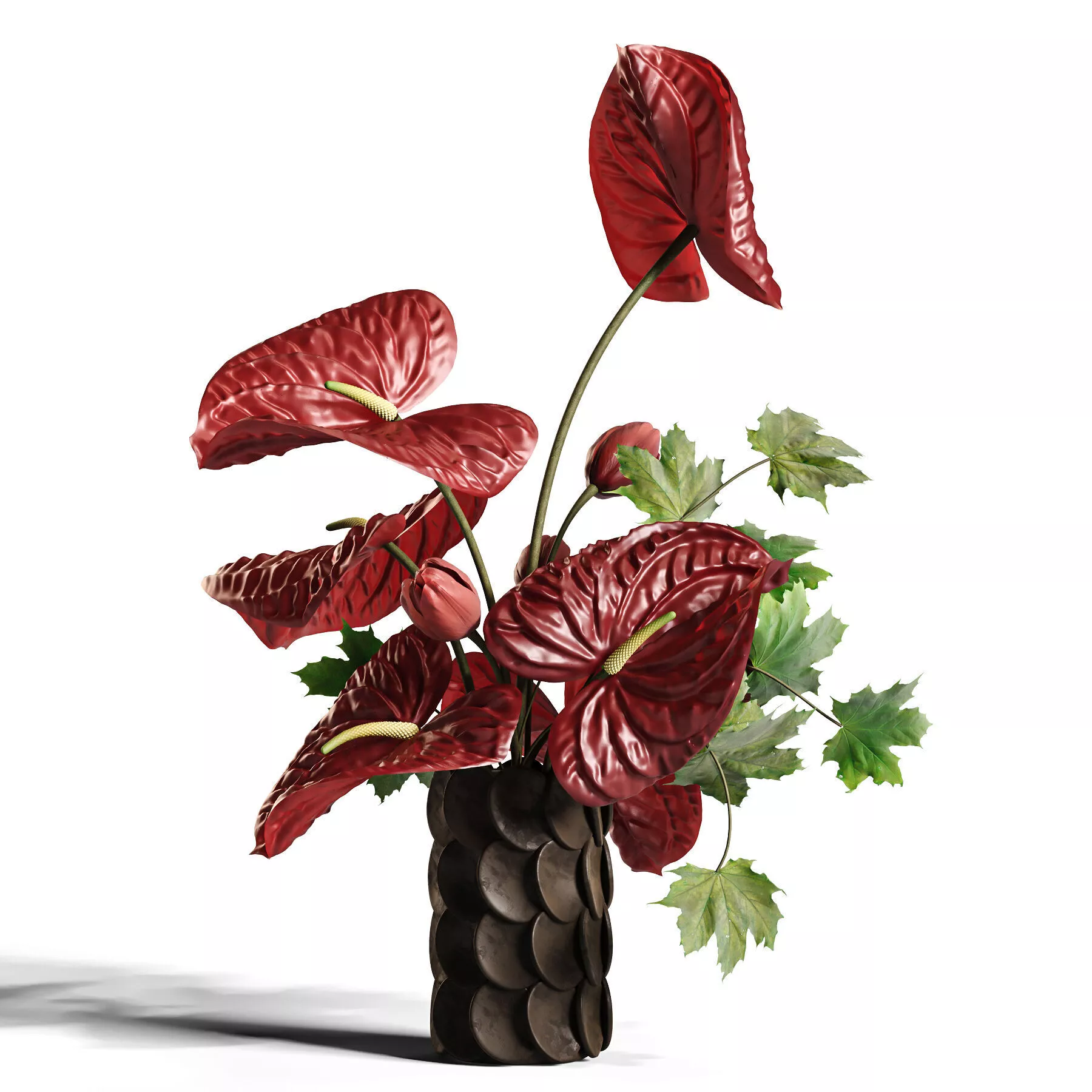 Burgundy Anthurium Arrangement 60 3D model