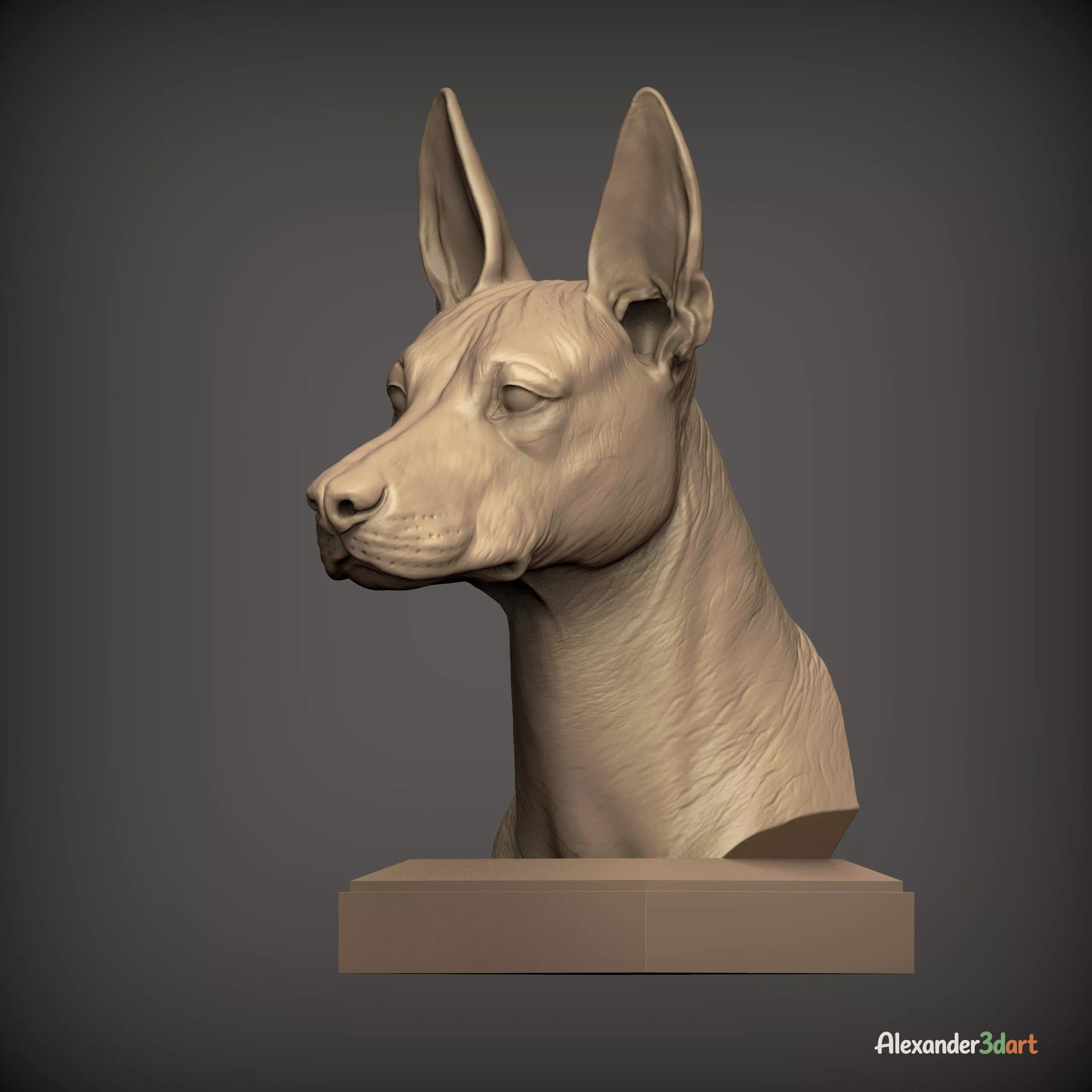 Xoloitzcuintli Dog Bust STL for 3D Printing 3D print model
