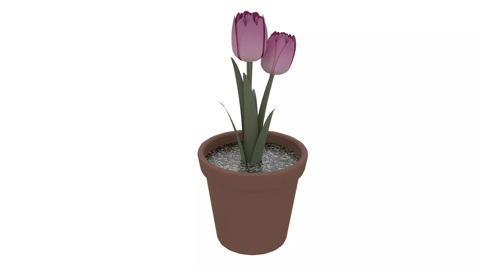 tulips in a clay pot 3D model