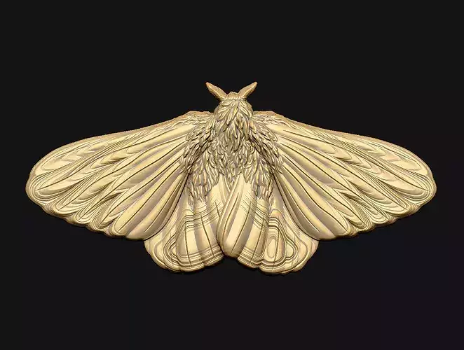Moth 3D-model relief-carving moth-sculpture bas-relief