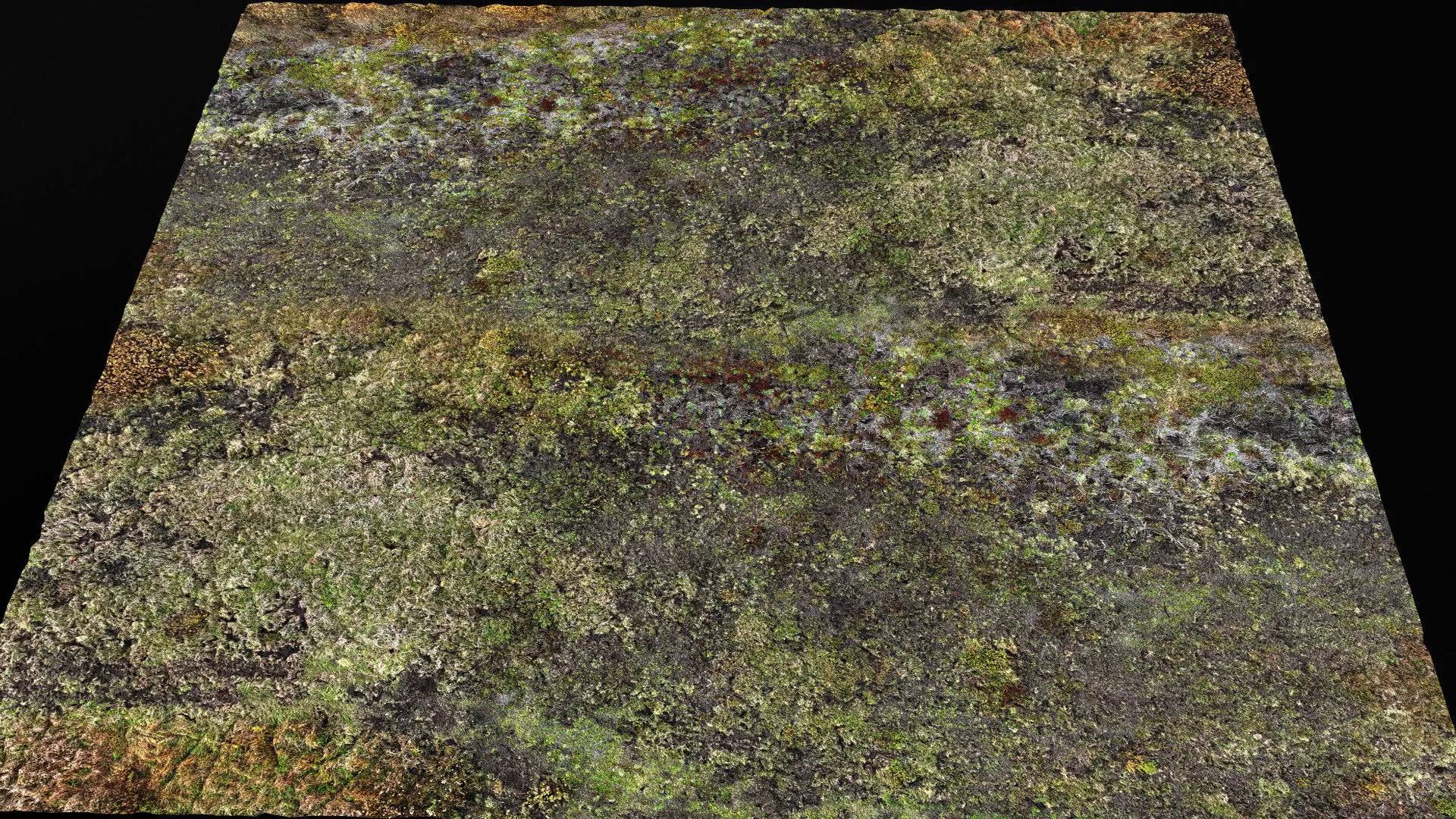 terrain ground grass bushes patch pt1 PBR photogrammetry Low-poly 3D model