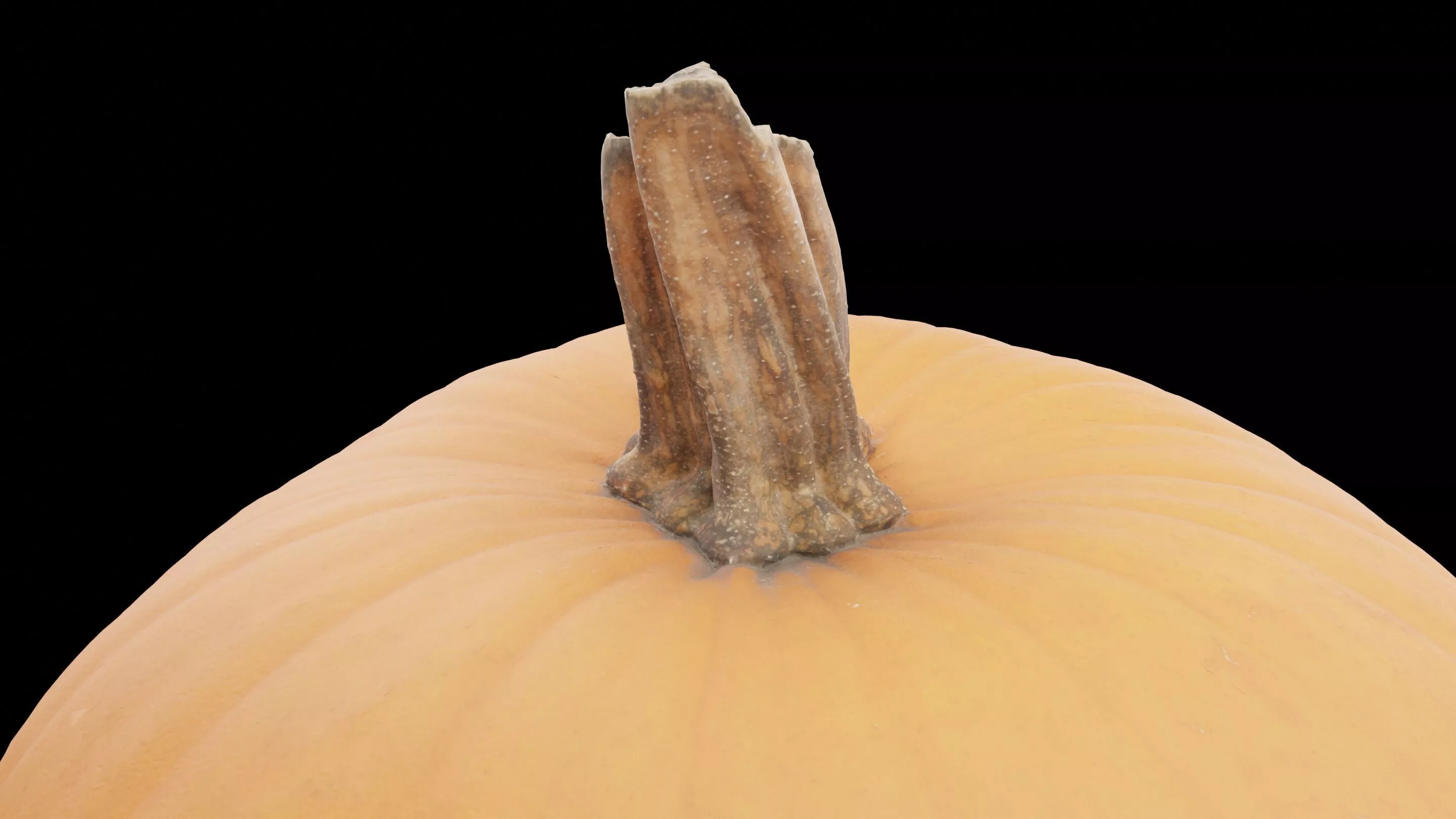 Pumpkin Low-poly 3D model