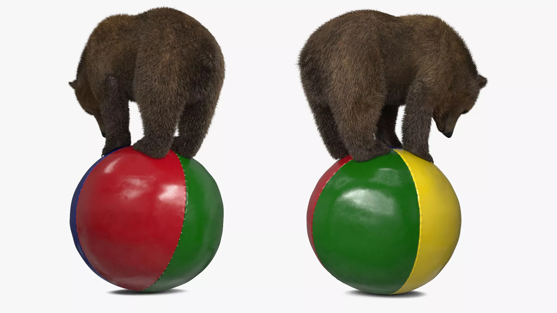 Circus Performing Bear Balancing on Large Ball Fur 3D model