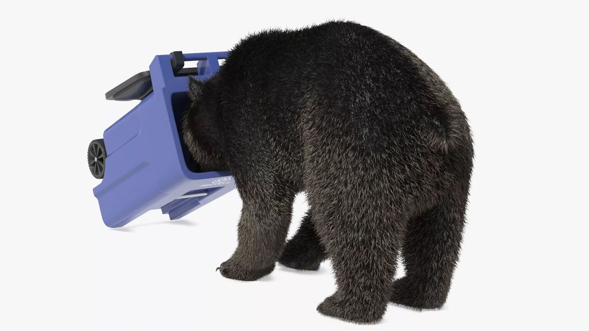 Curious Bear with Head in Trash Can Fur 3D model