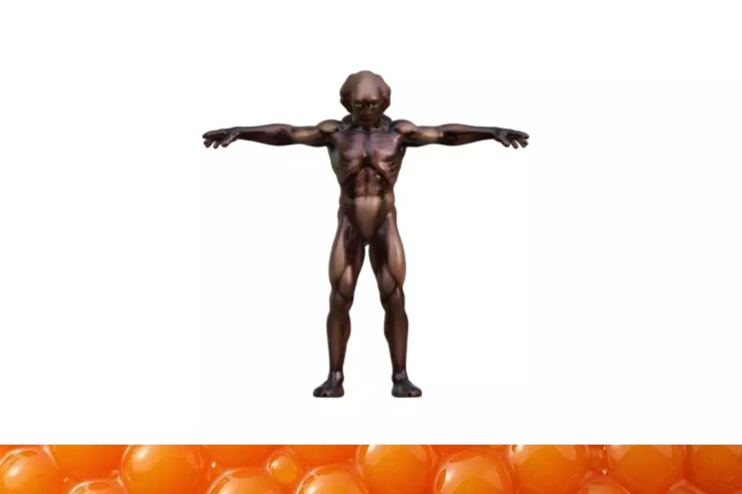 BLB Character 005 3D model