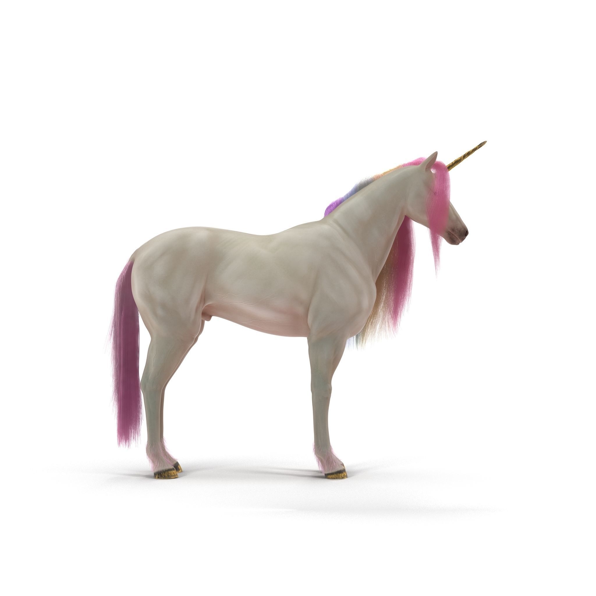 Unicorn with rainbow mane 3D model_8