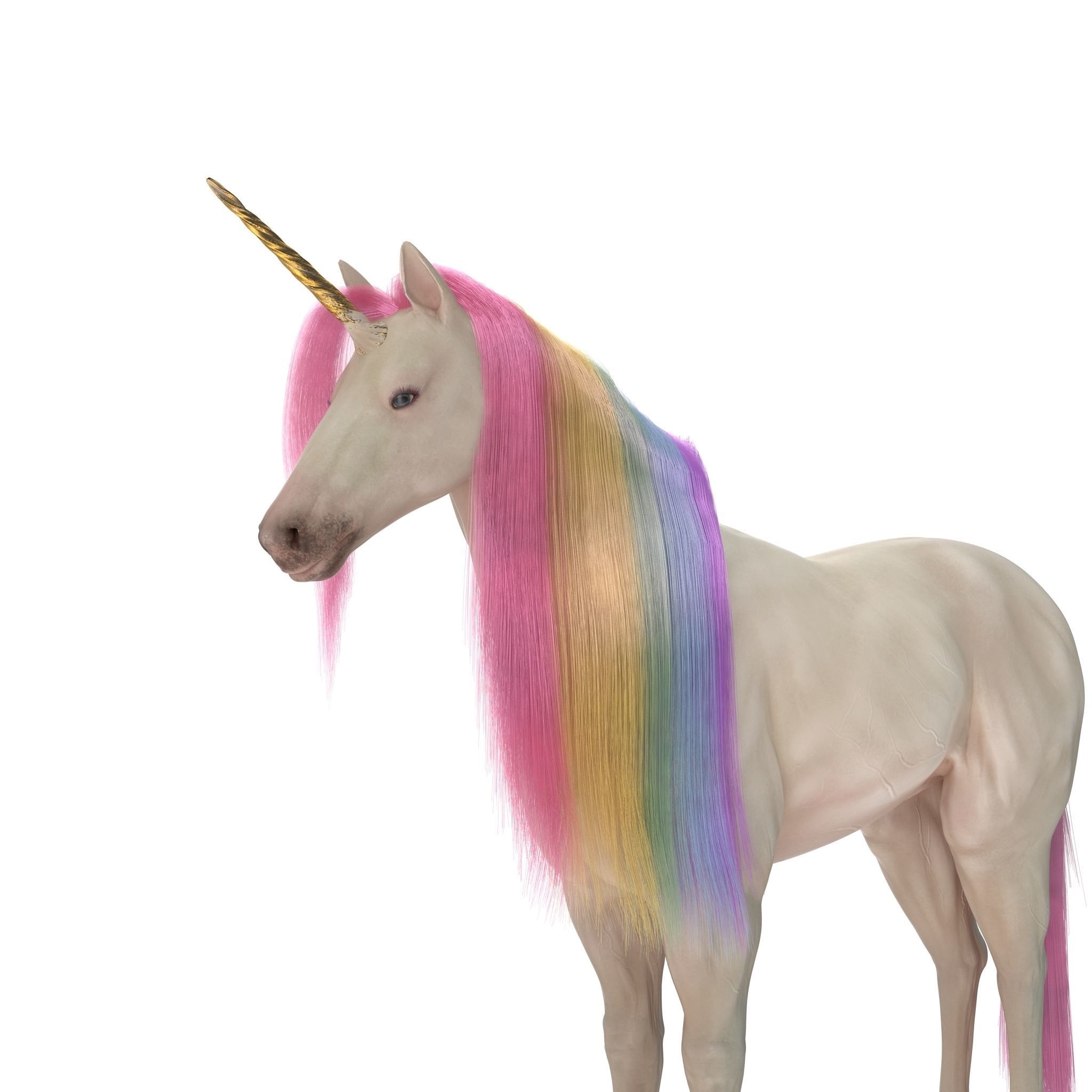 Unicorn with rainbow mane 3D model_13
