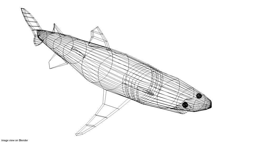 Shark - Piked 3D model_3