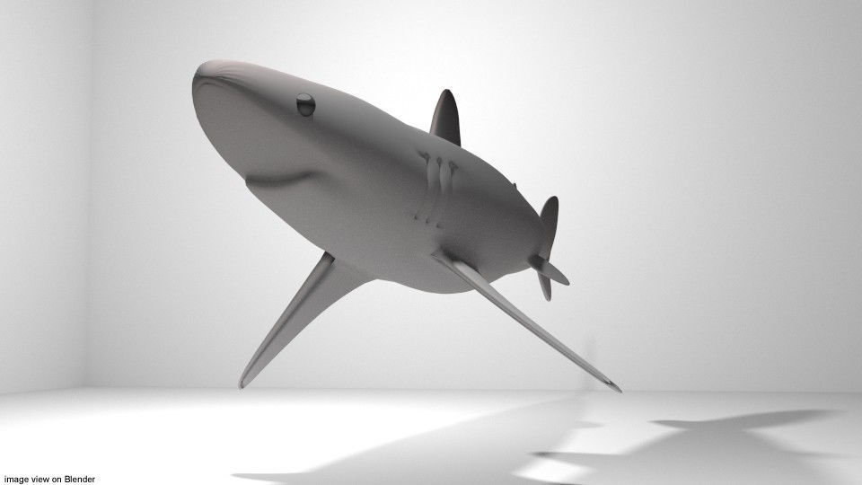 Shark - Piked 3D model_2
