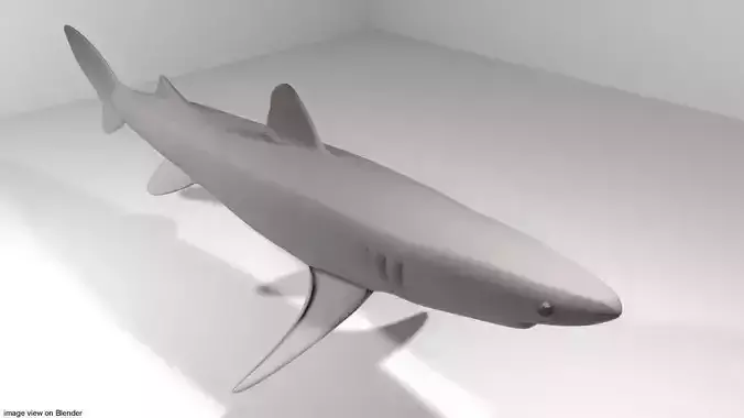 Shark - Piked
