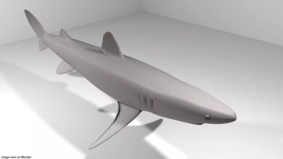Shark - Piked 3D model_0