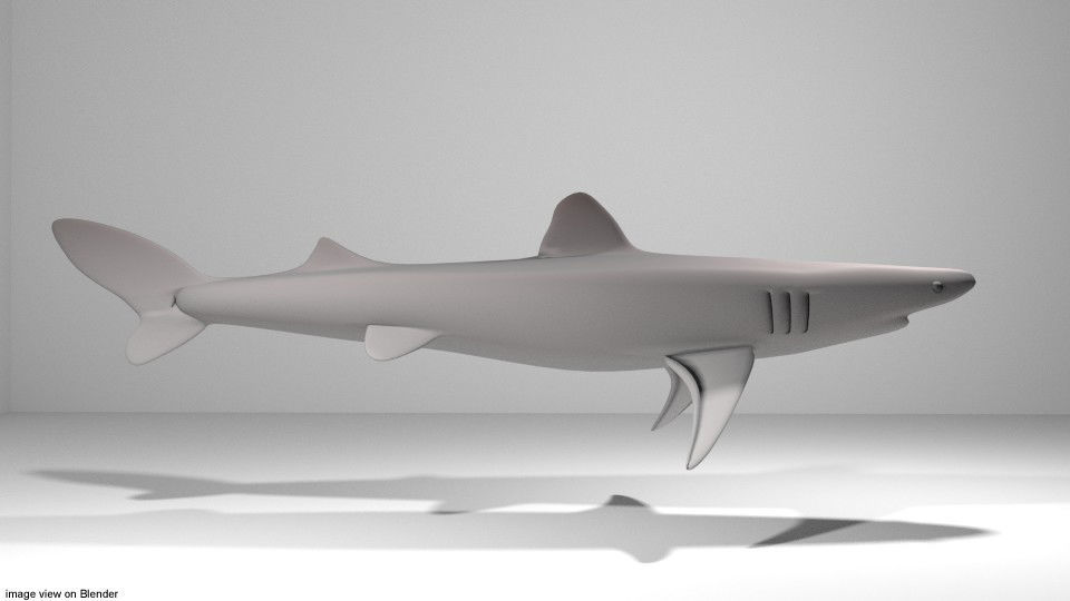 Shark - Piked 3D model_1