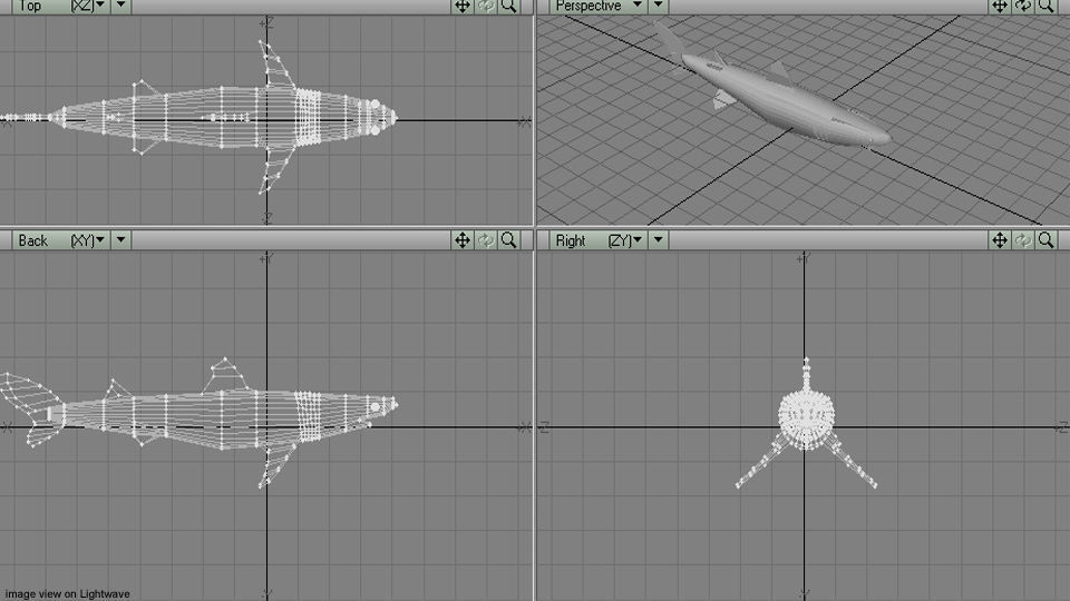 Shark - Piked 3D model_4