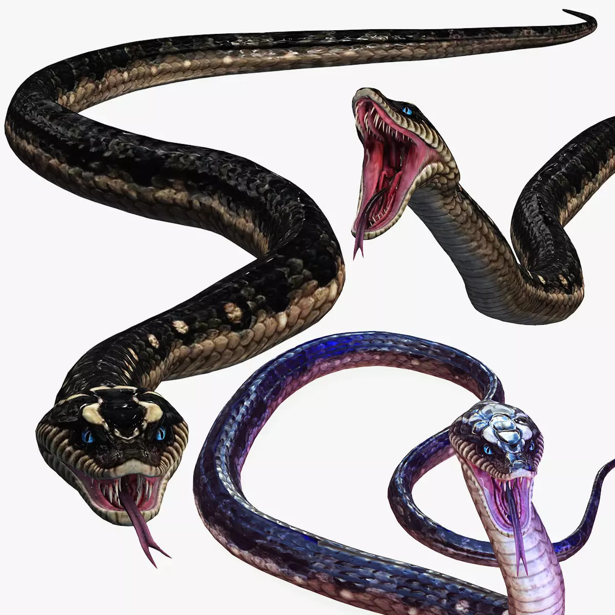 PYTHON 3D VIPER SNAKE REPTILE River Water C Low-poly 3D model