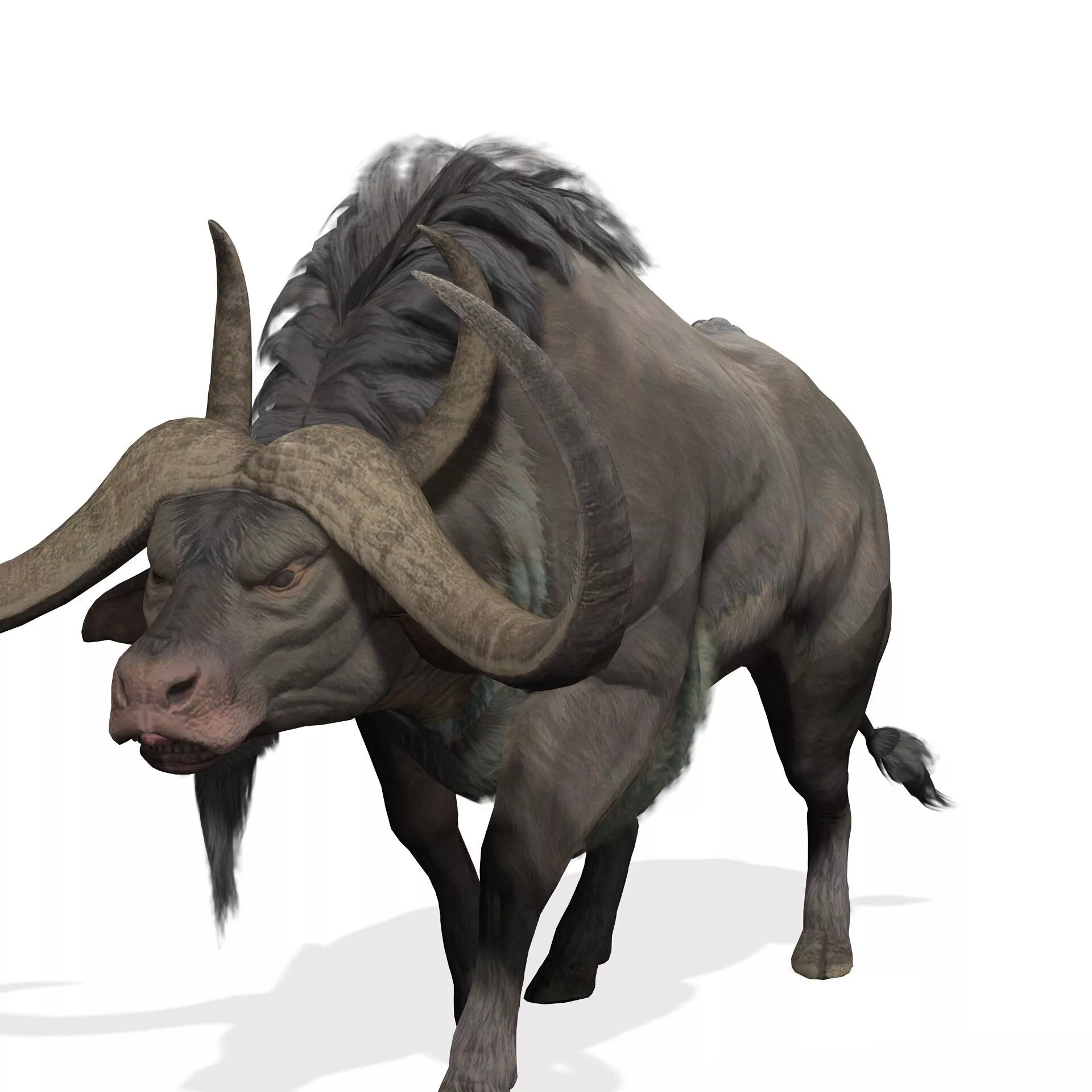 Buffalo 3D MODEL GOAT GNU BULL COW GREY Low-poly 3D model