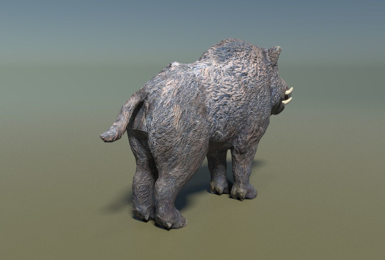 Wild Boar Low-poly Low-poly 3D model_6