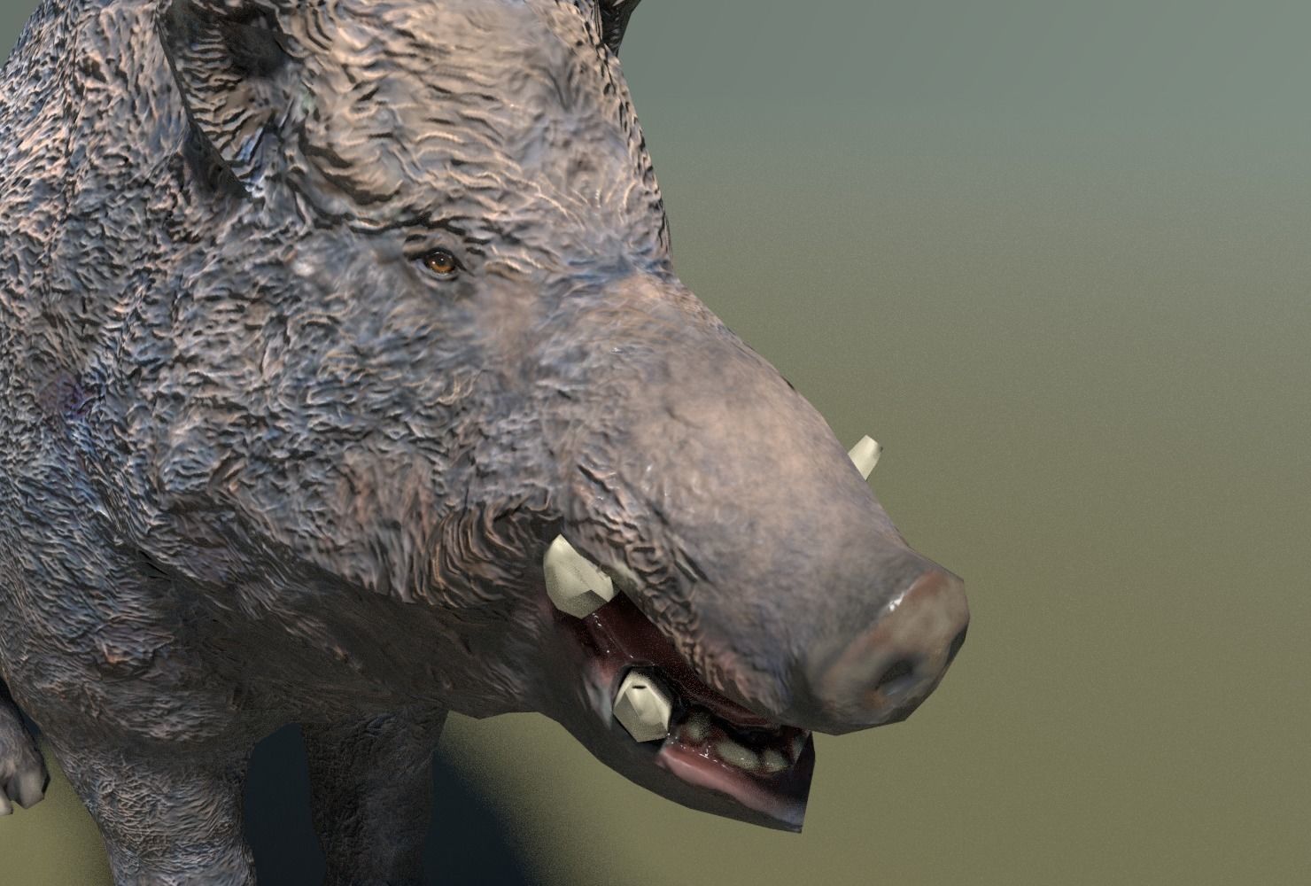 Wild Boar Low-poly Low-poly 3D model_8