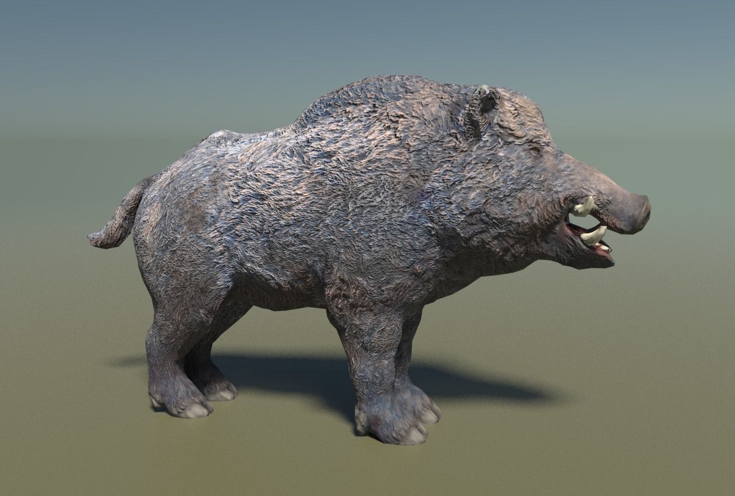 Wild Boar Low-poly Low-poly 3D model_1