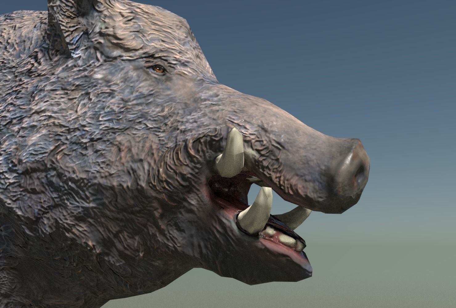 Wild Boar Low-poly Low-poly 3D model_4