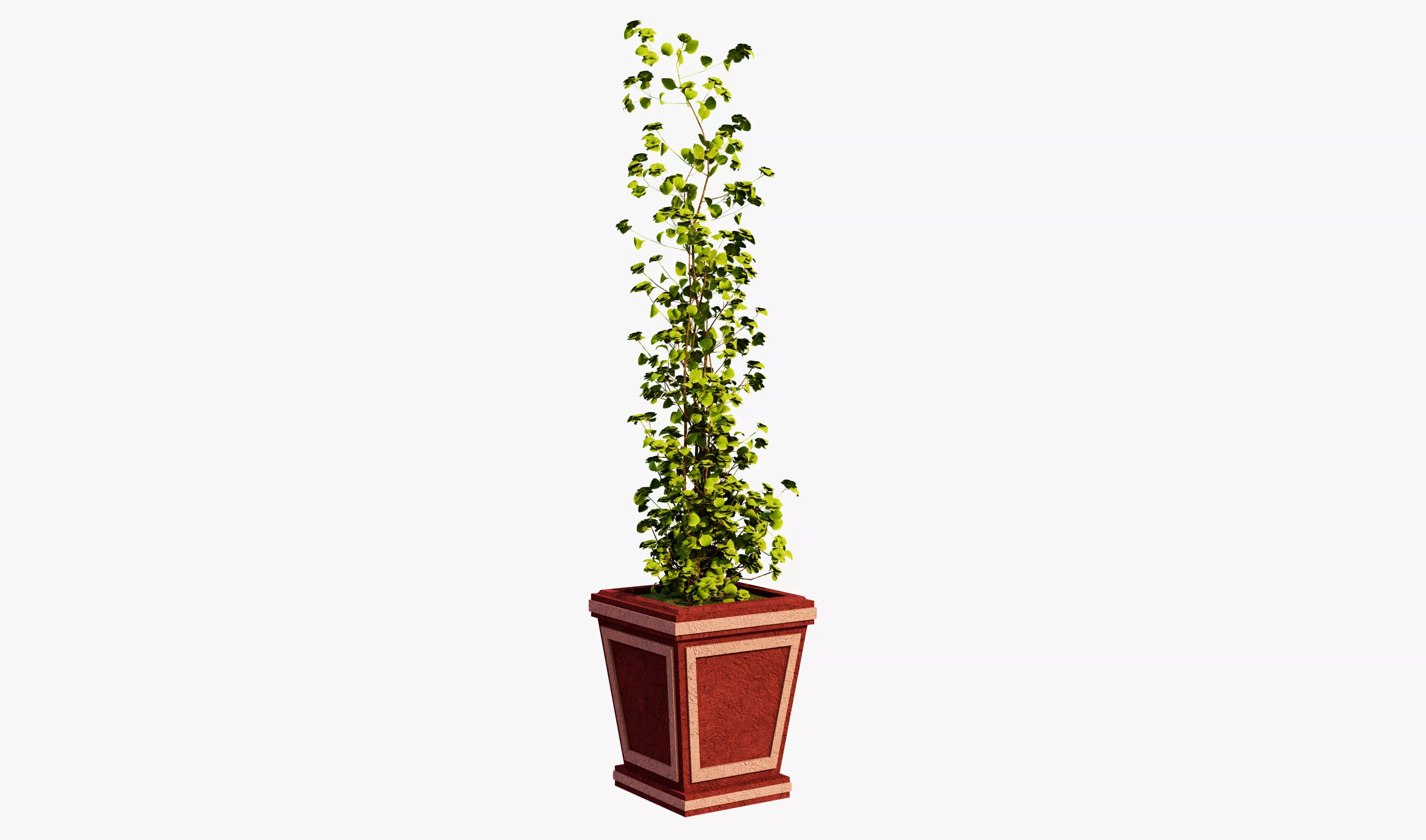 Red Plant Pot Free 3D model