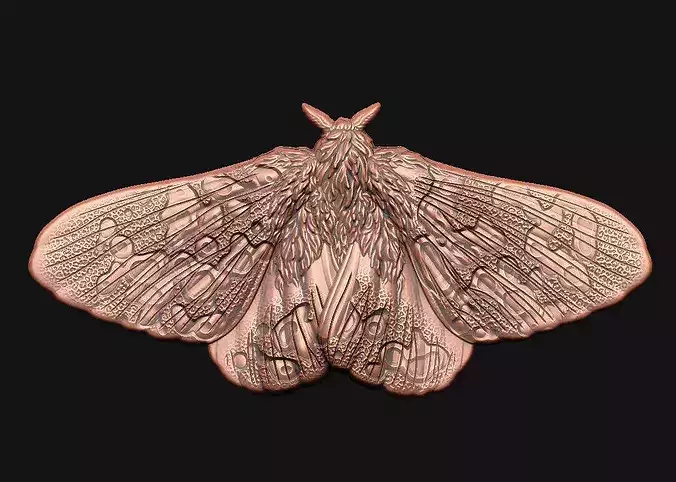 moth insect 3d-model sculpting organic relief moth-wings