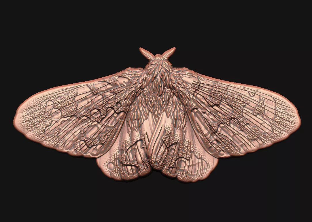 moth insect 3d-model sculpting organic relief moth-wings 3D print model