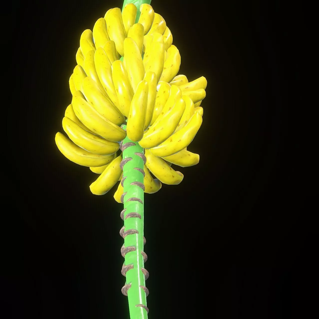 BANANA PLATANO VEGETABLE FRUIT TROPICAL Free 3D print model