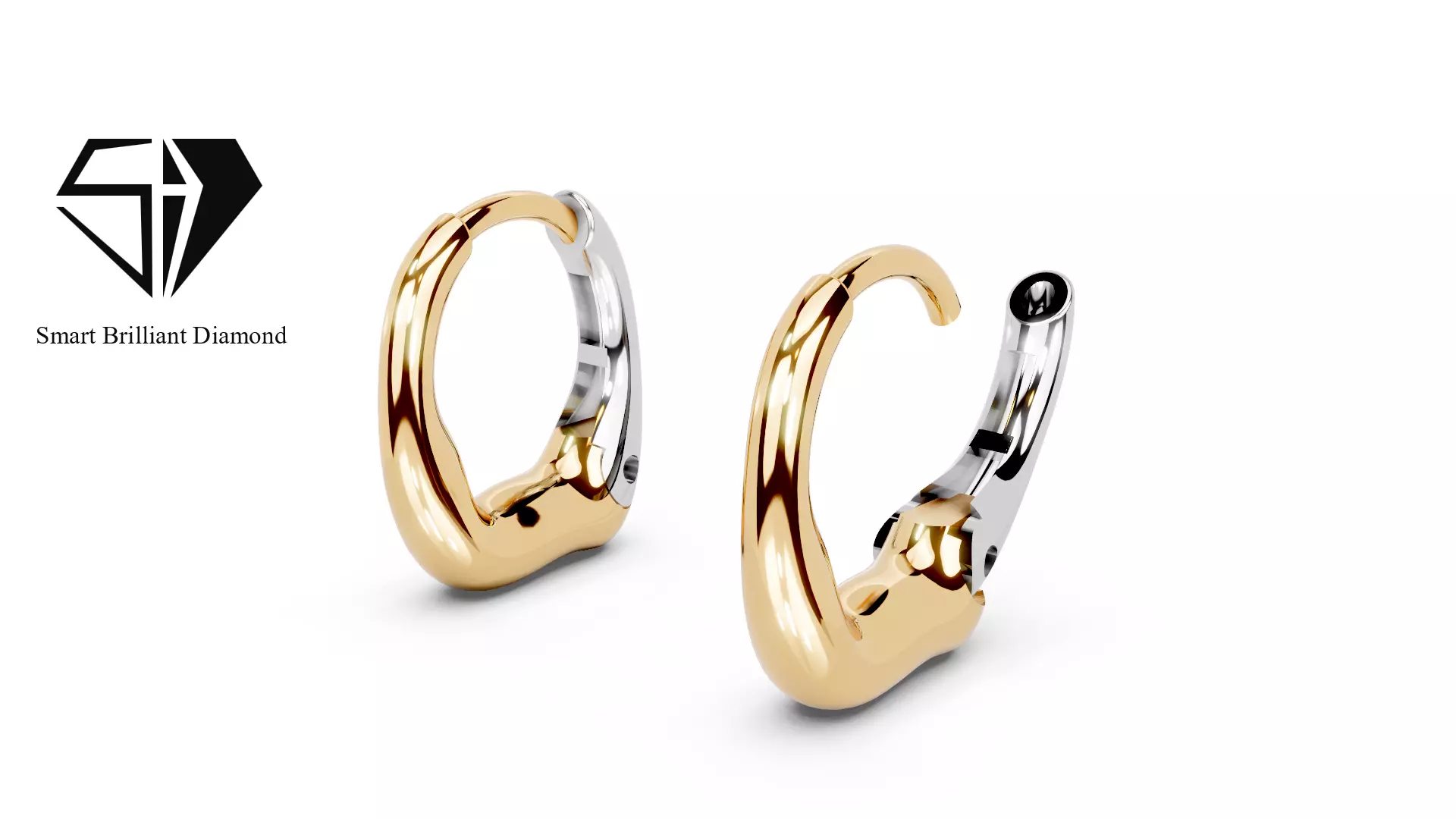 Aurora DualTone Gold Hoop Earrings Jewelry 3D Model ge0065 3D print model