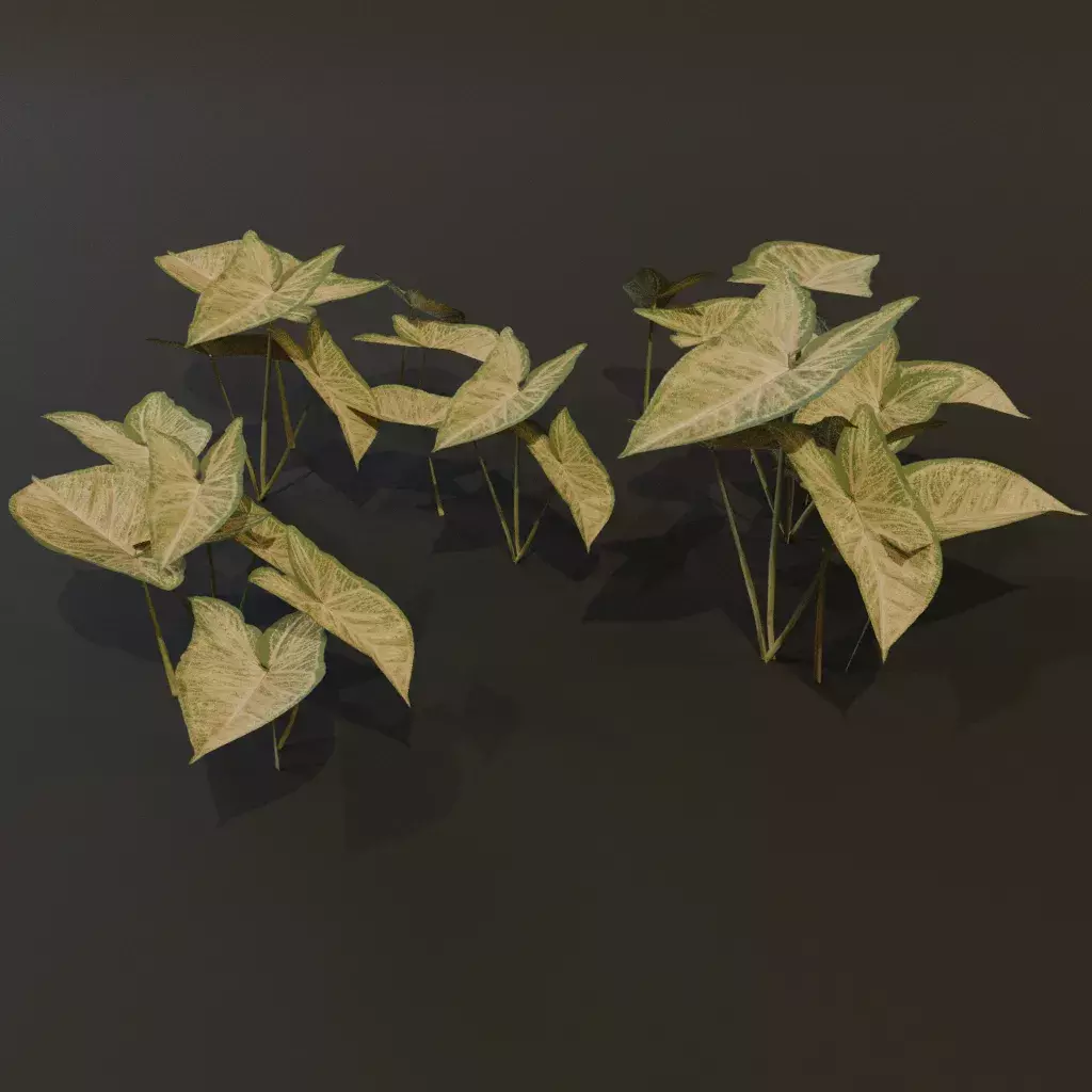 Ground Cover Ivy Gn 3D model