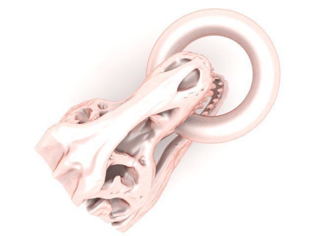 Pendant gold - plated dinosaur skull 3D print model_1