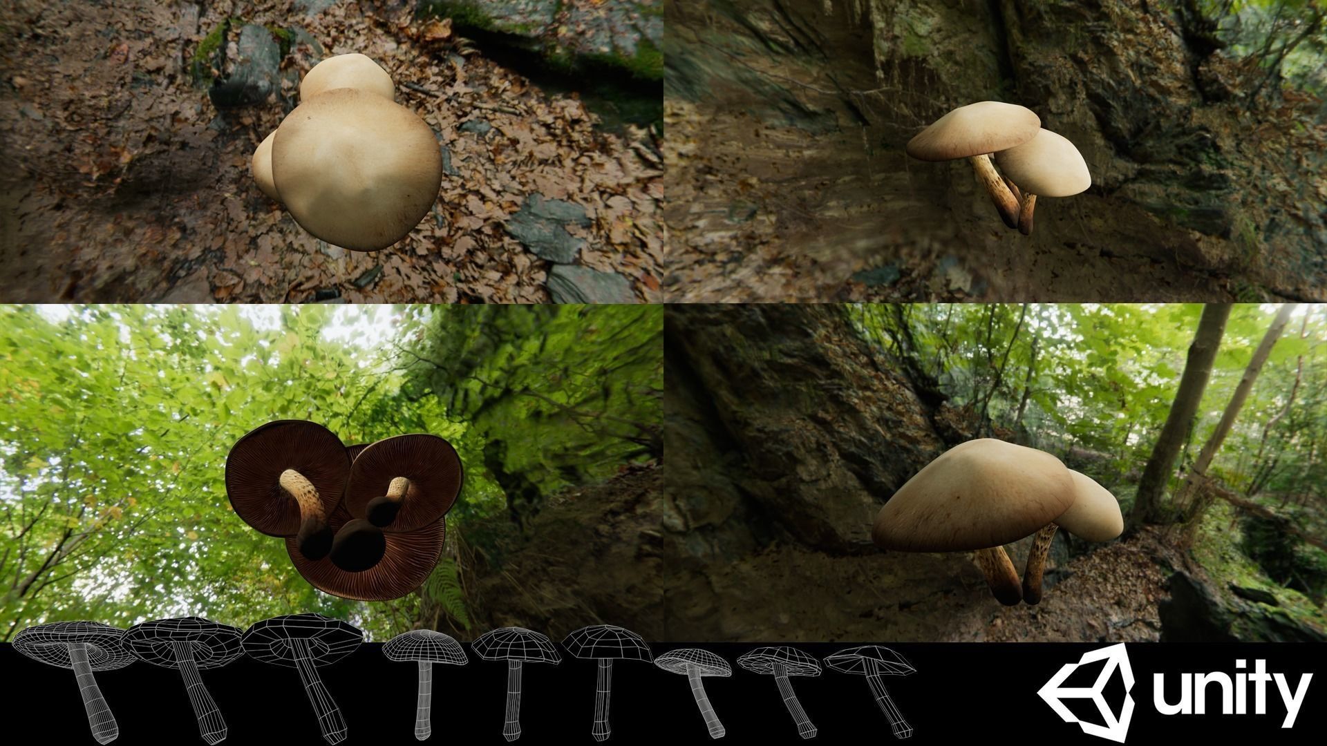 Game ready PBR Mushrooms 3D model SET 2 Low-poly 3D model_4
