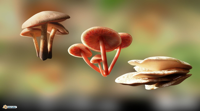 Game ready PBR Mushrooms 3D model SET 2 Low-poly 3D model