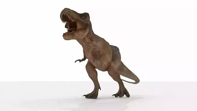  Tyrannosaurus rex