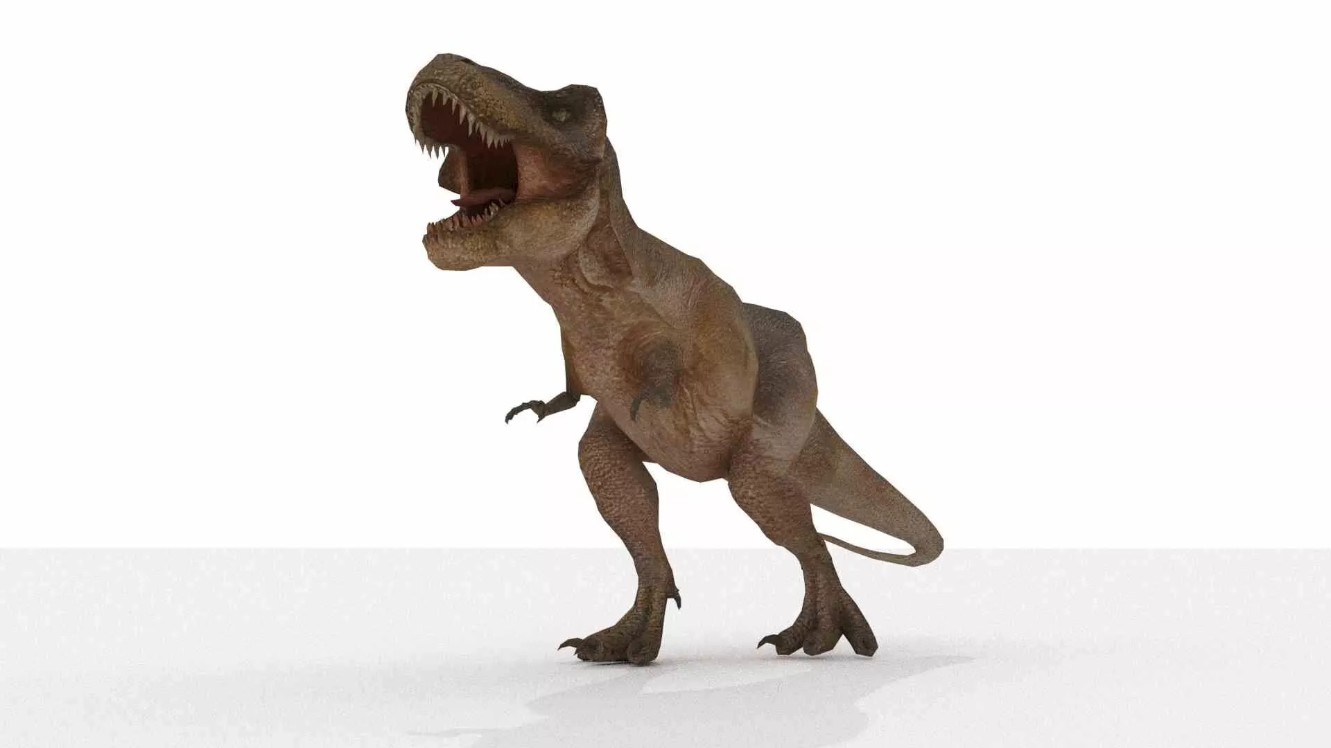 Tyrannosaurus rex Low-poly 3D model