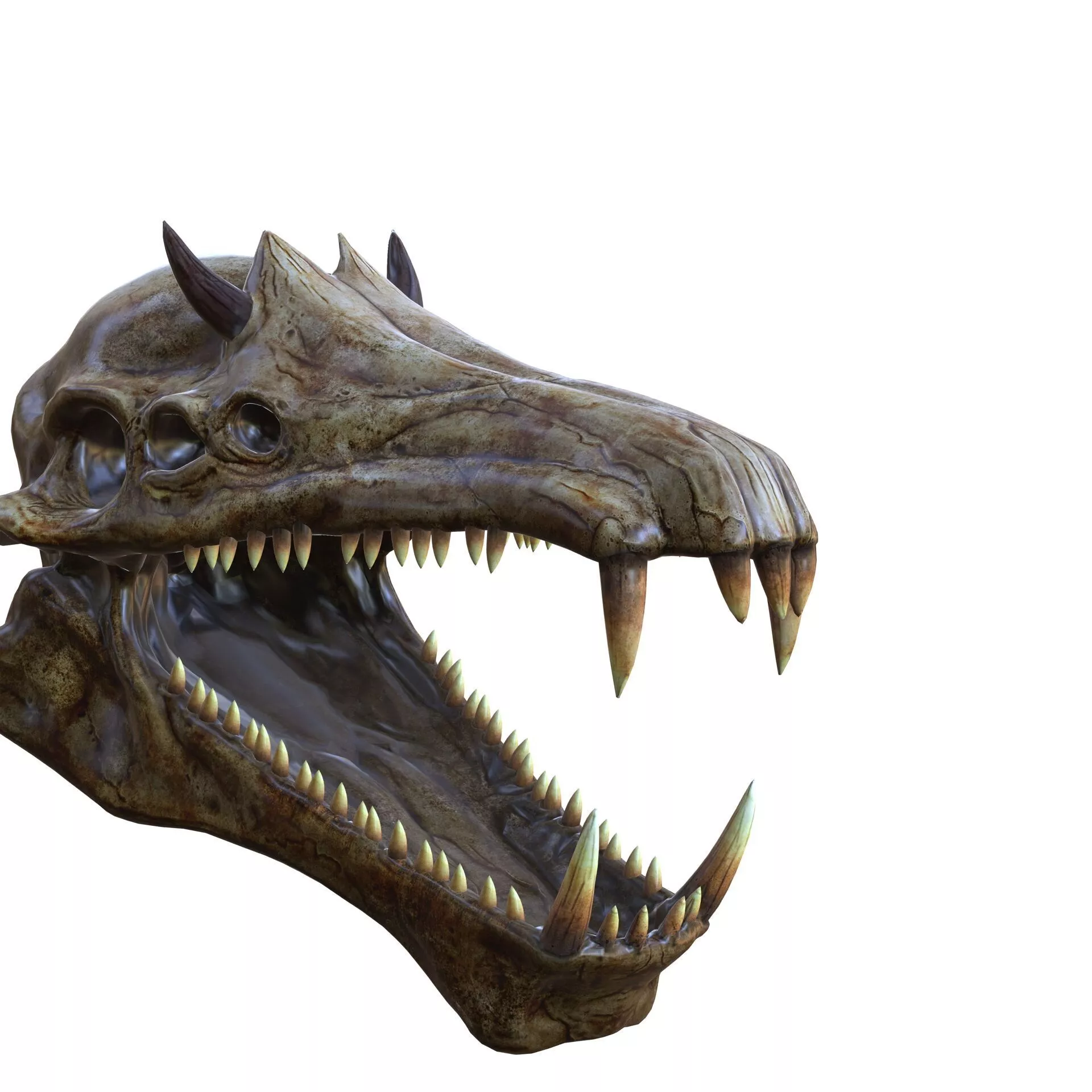 SKULL River Gargantuan ANATOMY TIGER MAN MONKEY 3D print model